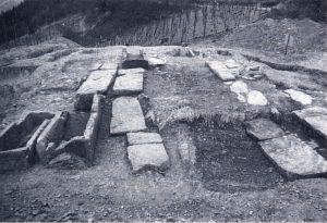 Naves Historia - Die Geschichte von Neef an der Mosel