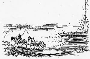 Naves Historia - Die Geschichte von Neef an der Mosel