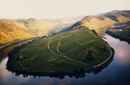 Naves Historia - Die Geschichte von Neef an der Mosel