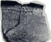 Naves Historia - Die Geschichte von Neef an der Mosel